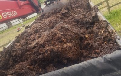 The Ultimate Guide to Rubble Removal & Building Waste Disposal